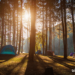 7 Camping Benefits for Health & Circadian Rhythm