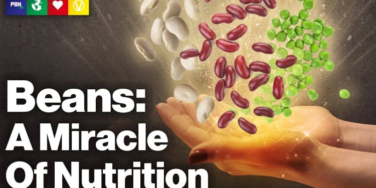 Beans – A Miracle Of Nutrition