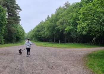 Am I A Real Runner? Why Every Pace Has A Place