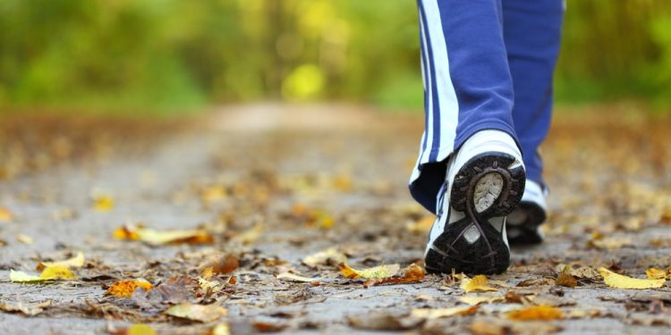 How Brisk Walking Can Help Tone Your Lower Body