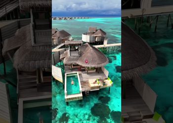 Danza kuduro 😍 #motivation #success #cartok #money #millionaire #rich #lifestyle