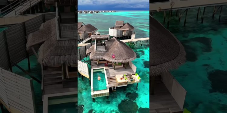 Danza kuduro 😍 #motivation #success #cartok #money #millionaire #rich #lifestyle