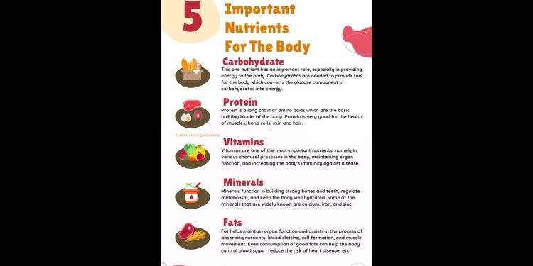 5 important Nutrients for the body | Balanced diet| #nutrients #balanceddiet