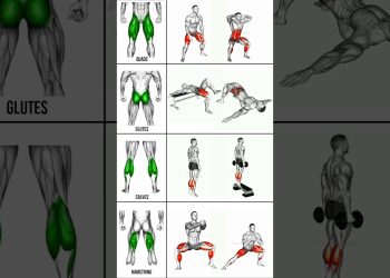 No Equipment Lower Body Workout (At Home!)