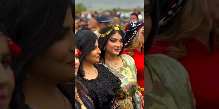 What is tha life of Dubai's Sheikhs like😍