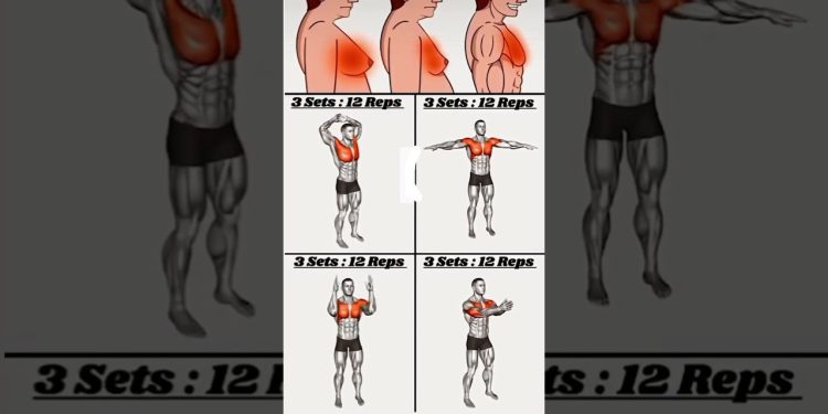 High Effective Chest Workout for beginners! #music #gym #homeworkout #chest #fitness #chestworkout