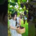 Beautiful Nature with Rural Life – Harvest grapes, peaches and plums