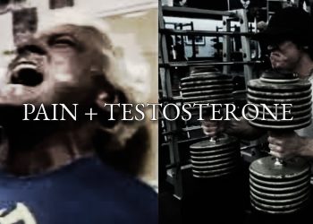 Pain + Testosterone | Gym Motivation