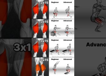 Leg Workouts for ALL Levels: Beginner to Advanced Training!