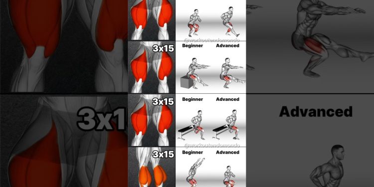 Leg Workouts for ALL Levels: Beginner to Advanced Training!