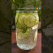 Ultimate DETOX Drink! Cucumber Chia Mint Lemon Water 🌿💧