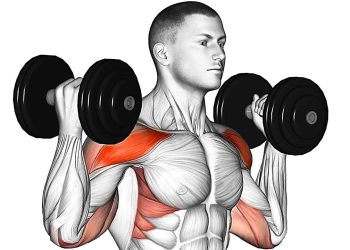 Standing Dumbbell Exercises for a Full Body Workout
