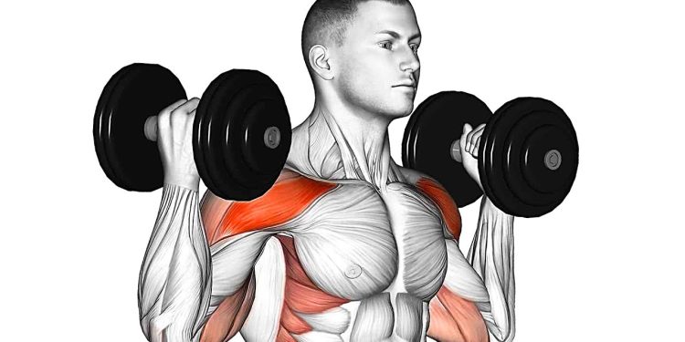 Standing Dumbbell Exercises for a Full Body Workout