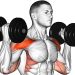 Standing Dumbbell Exercises for a Full Body Workout
