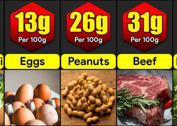 Highest Protein Foods In The World | Comparison