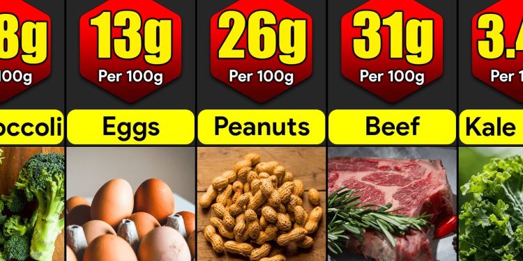 Highest Protein Foods In The World | Comparison