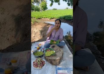 Village life style in summer – summer fruit