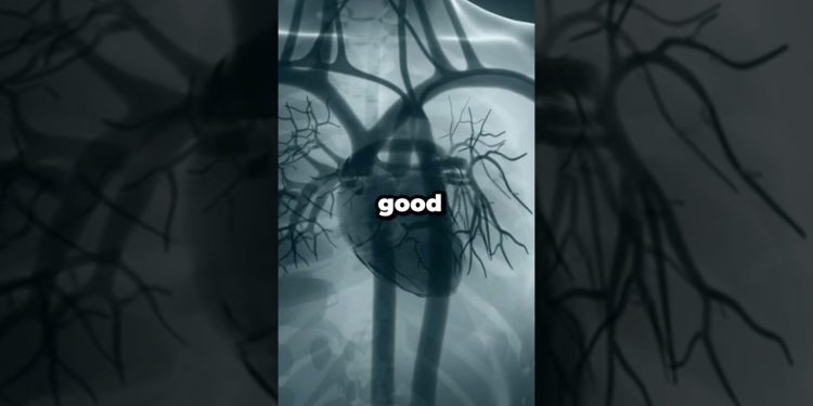 Good Foods For You #health #wellness #diet #nutrition