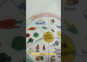 nutrients of food chart  #nutrition #nutrientsoffoodchart