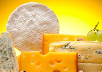 The 5 Best Cheeses You Should Be Eating for Weight Loss – IronMag Bodybuilding & Fitness Blog
