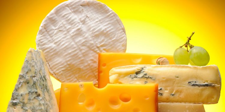 The 5 Best Cheeses You Should Be Eating for Weight Loss – IronMag Bodybuilding & Fitness Blog