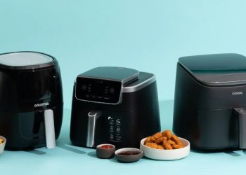 Should You Use an Air Fryer to Improve Weight Loss? – IronMag Bodybuilding & Fitness Blog