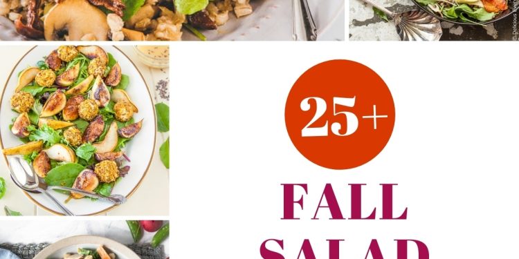 25+ Fall Salad Recipes – Oh My Veggies