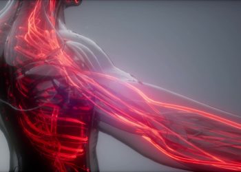 What Are Fast-Twitch Muscle Fibers? – IronMag Bodybuilding & Fitness Blog