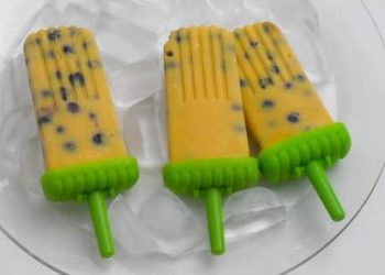 Fresh Mango and Blueberry Popsicles (Vegan!)