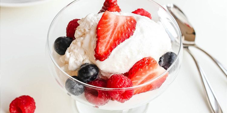 No Churn Keto Frozen Coconut Yogurt