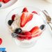 No Churn Keto Frozen Coconut Yogurt