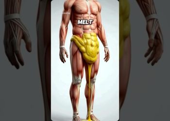 #weightloss #loseweightfast #bellyfat #youtubeshorts #shorts #workoutathome #fatloss #fitness #fit