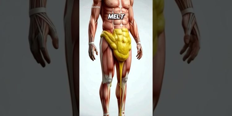 #weightloss #loseweightfast #bellyfat #youtubeshorts #shorts #workoutathome #fatloss #fitness #fit