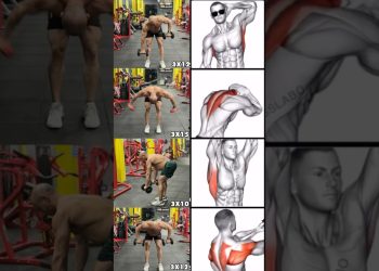 "5 Ultimate Dumbbell Back Workout Variations You Need to Try!"#shorts #fitness #motivation