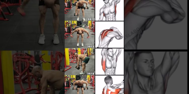 "5 Ultimate Dumbbell Back Workout Variations You Need to Try!"#shorts #fitness #motivation