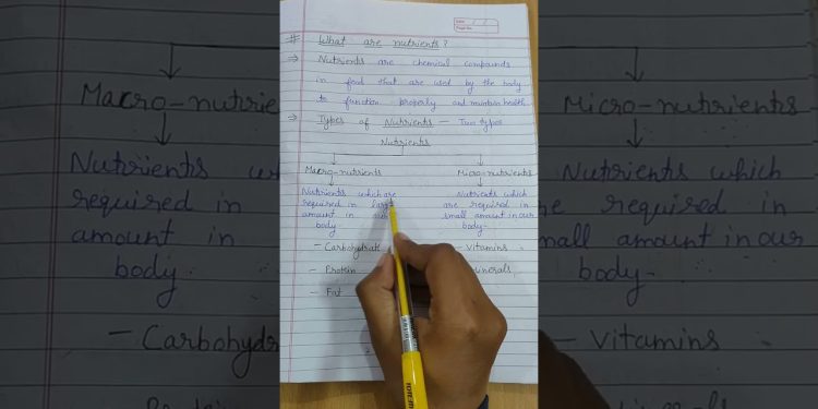 What are nutrients & their types🔥#nutrients#typesofnutrients#shorts