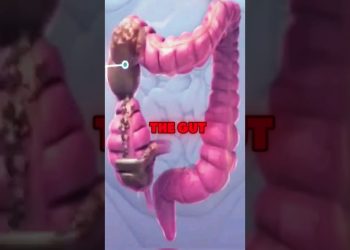 3 Best Drinks To Cleanse Your Gut #guthealth #gutcleanse #health