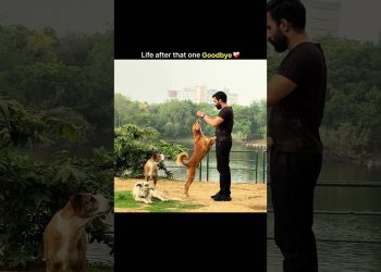 Life after that one goodbye ❤️🩹 #motivation #fitlifebalance #fitnessinspiration #lifestyle #gym