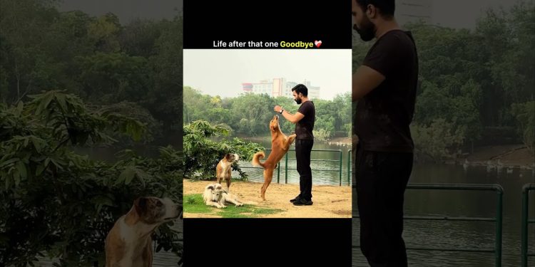 Life after that one goodbye ❤️‍🩹 #motivation #fitlifebalance #fitnessinspiration #lifestyle #gym