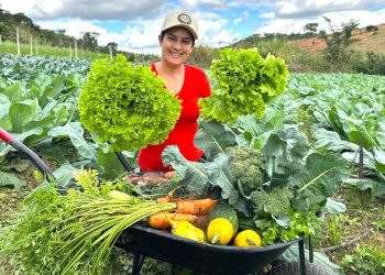 Se eu sair para colher tudo o que tem no meu sítio hoje, o que eu levo para casa?