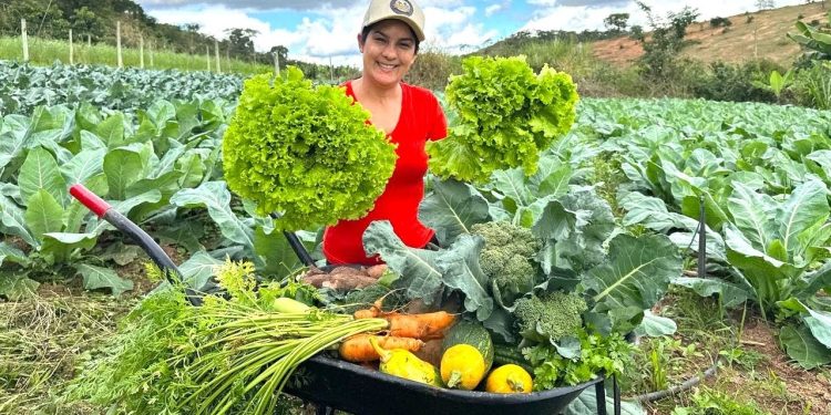 Se eu sair para colher tudo o que tem no meu sítio hoje, o que eu levo para casa?