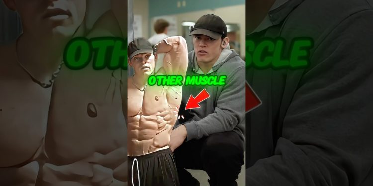 Sam Sulek Ab Workout Muscle Building Tip #samsulek #abworkout