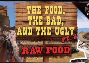 Cat Nutrition: The Food, The Bad, & The Ugly Part 3: Raw Food!