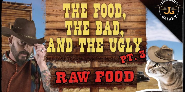Cat Nutrition: The Food, The Bad, & The Ugly Part 3: Raw Food!