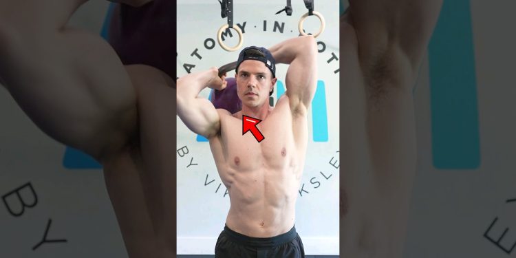 Best Kettlebell Exercises For Beginners