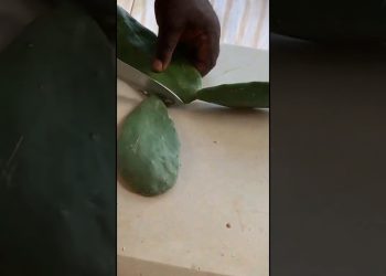 DIY Cactus Juice: Cut and Prepare for a Healthy Drink