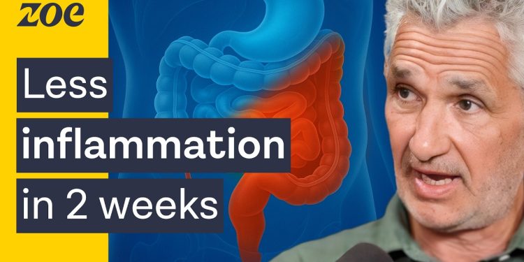 Can a traditional African diet help protect against inflammation? | Quirijn de Mast & Tim Spector