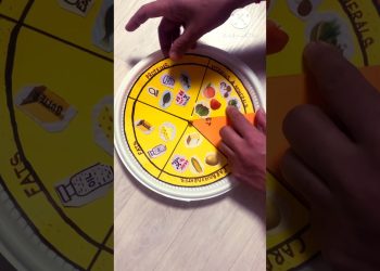 Balance Diet  Working Model #balancediet #3dmodel #balancedietmodel