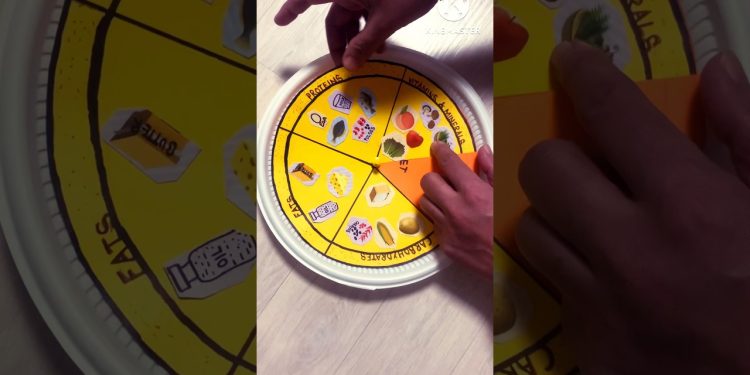 Balance Diet  Working Model #balancediet #3dmodel #balancedietmodel