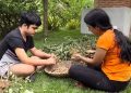 Meu filho autista colhendo os primeiros frutos da sua plantação